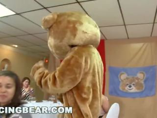 Ballo orso - un mazzo di libidinous donne succhiare maschio spogliarellista cazzi a un festa
